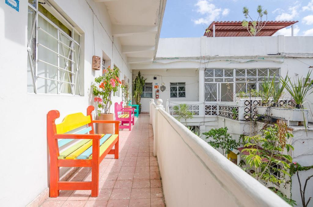 Casa De Don Pablo Hostel Oaxaca Exterior photo
